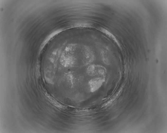 X0000078841019200611271316