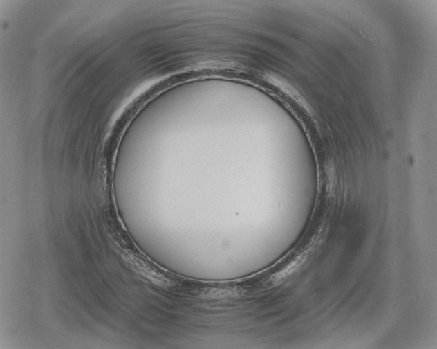 X0000078841021200611271316