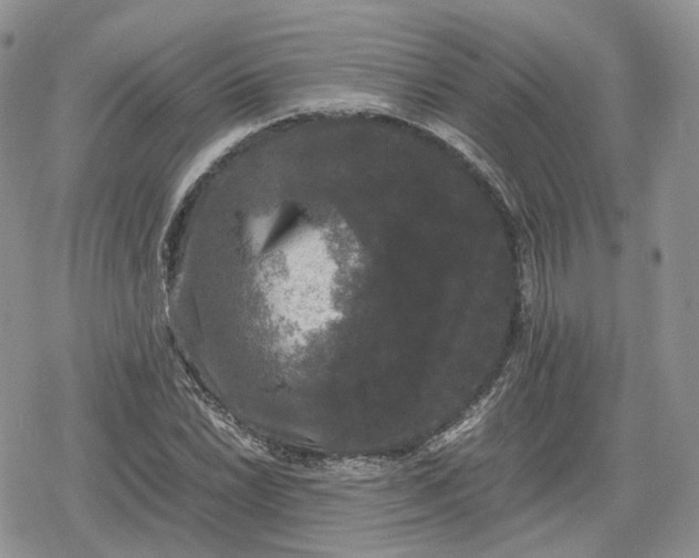 X0000078841022200611271317