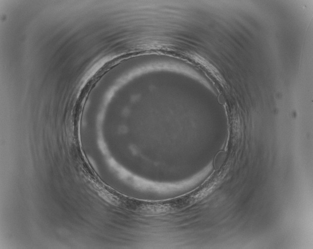 X0000078841023200611271317