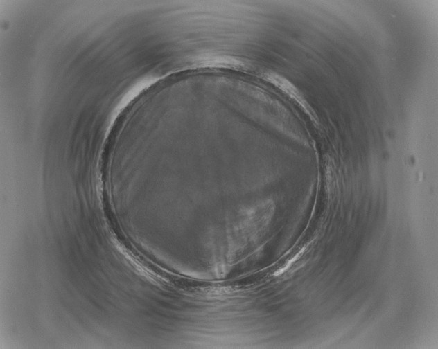 X0000078841024200611271317