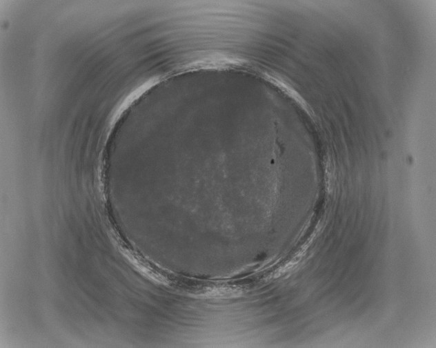 X0000078841026200611271317