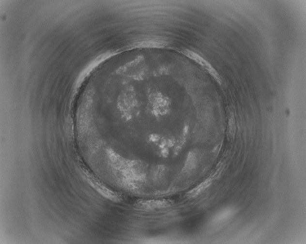 X0000078841027200611271317