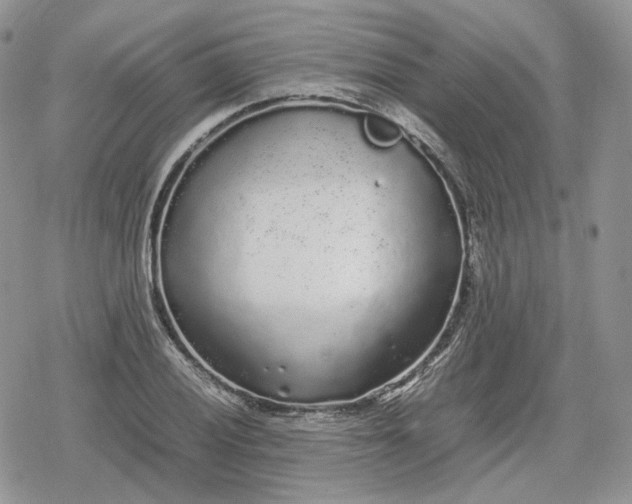 X0000078841028200611271317