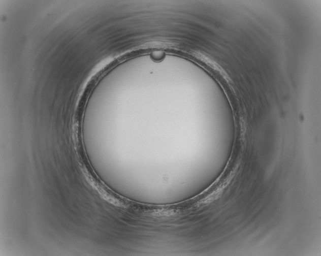 X0000078841029200611271317