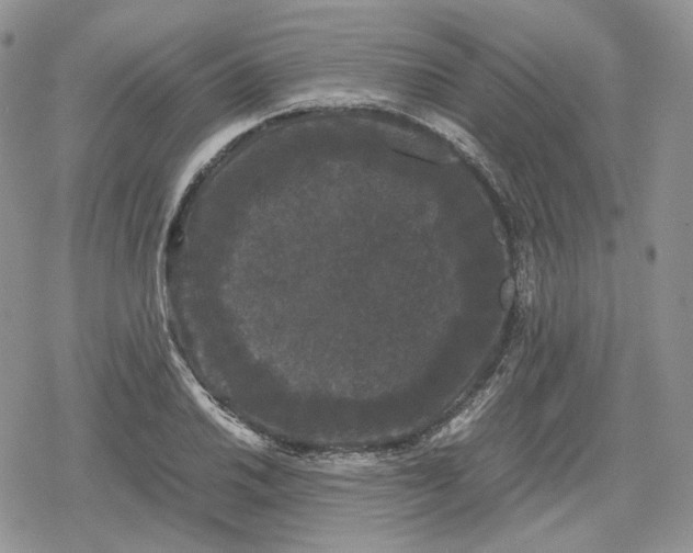 X0000078841030200611271317