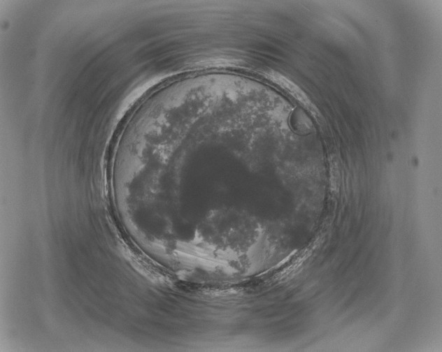 X0000078841031200611271317