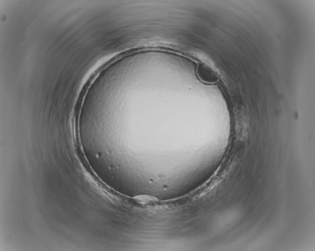 X0000078841032200611271317