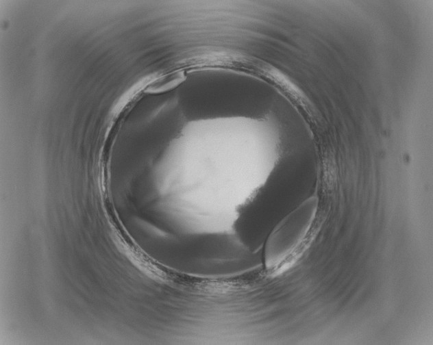 X0000078841034200611271317