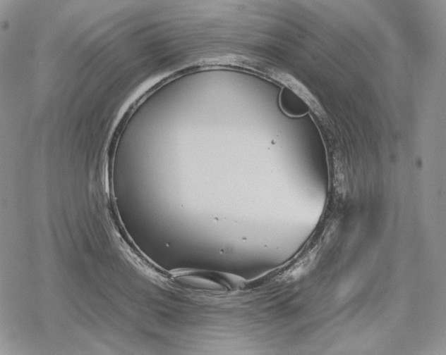 X0000078841036200611271317