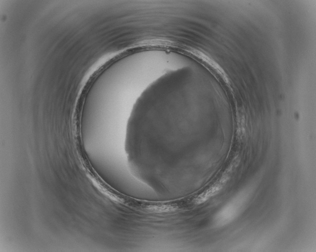 X0000078841037200611271317