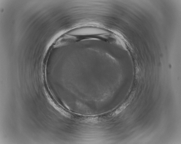 X0000078841038200611271317