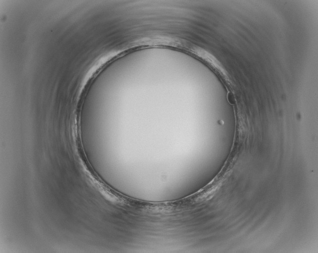 X0000078841040200611271317