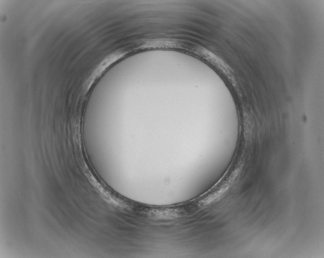 X0000078841041200611271317