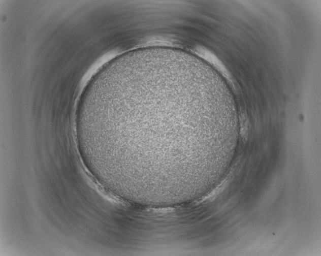 X0000078841043200611271317