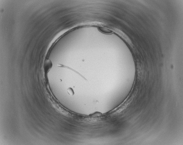 X0000078841044200611271317