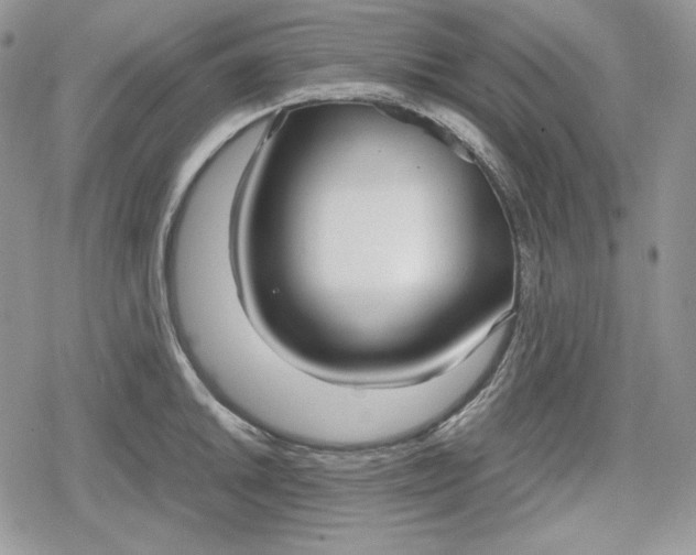 X0000078841046200611271317