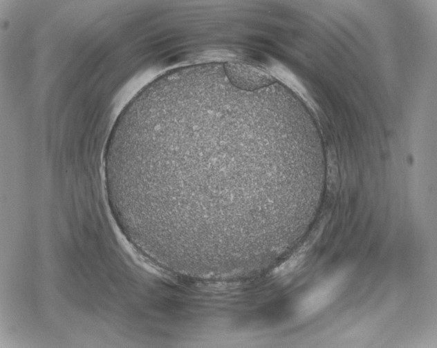 X0000078841047200611271317