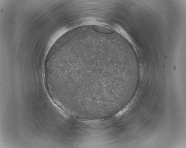 X0000078841048200611271317