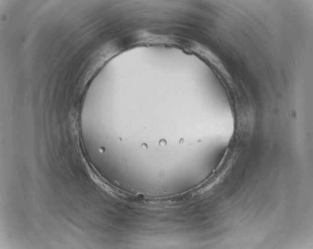 X0000078841049200611271317