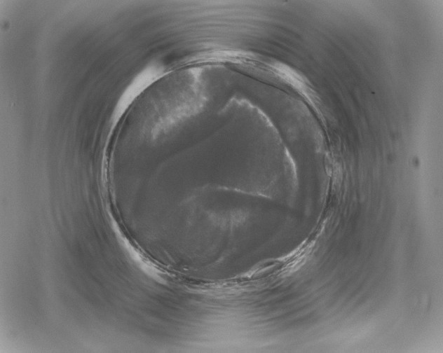 X0000078841050200611271317