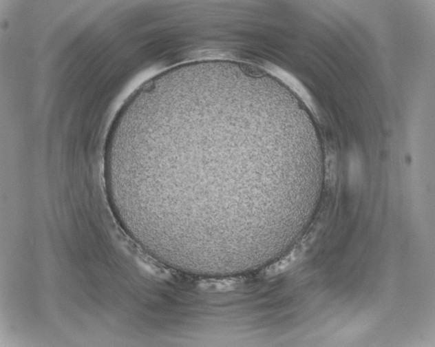 X0000078841051200611271317