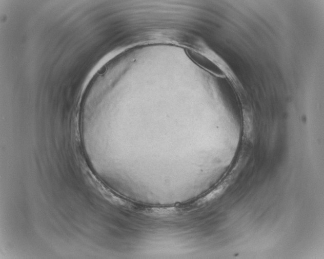 X0000078841052200611271317