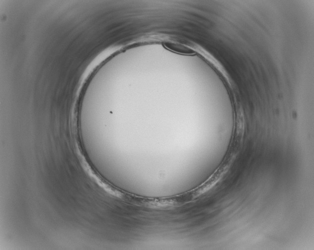 X0000078841053200611271317