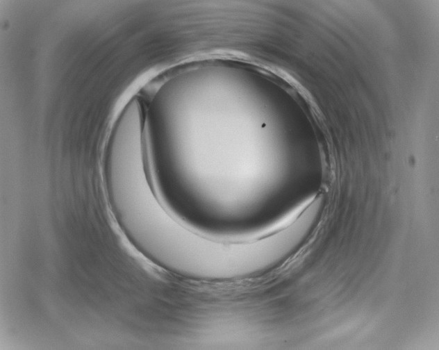 X0000078841054200611271317