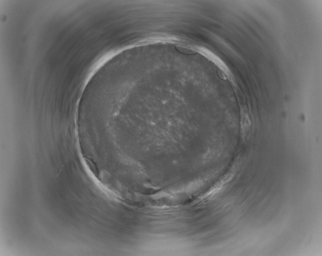 X0000078841055200611271317