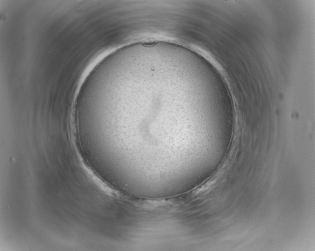 X0000078841056200611271317