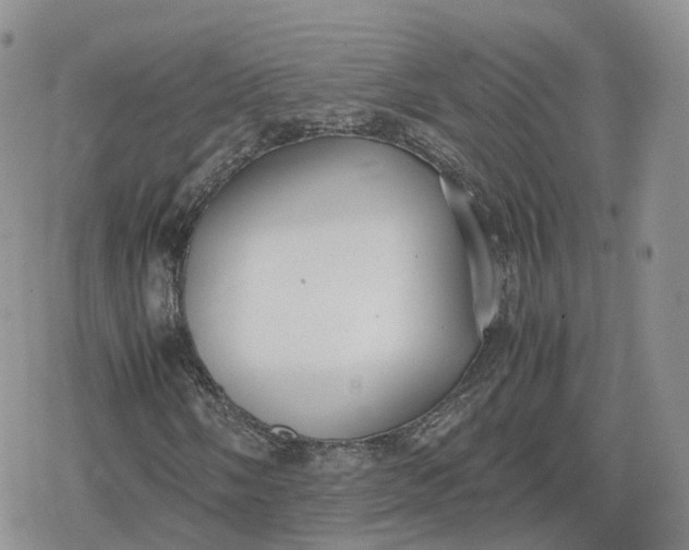 X0000078841058200611271316