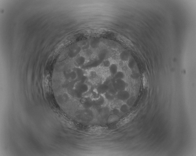 X0000078841059200611271316