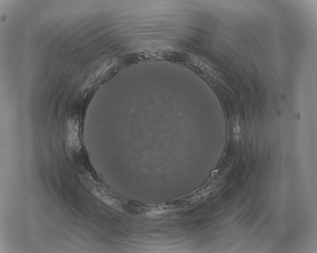 X0000078841060200611271316