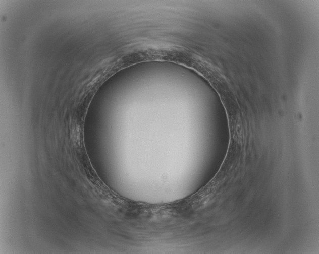 X0000078841061200611271316