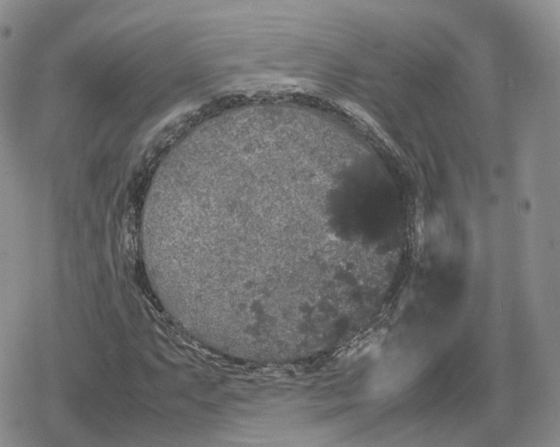 X0000078841063200611271316