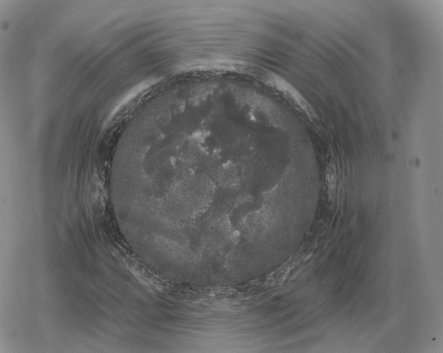 X0000078841064200611271316