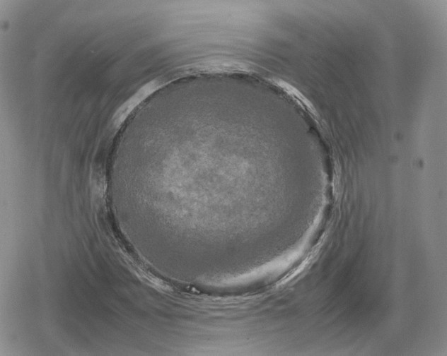 X0000078841065200611271316