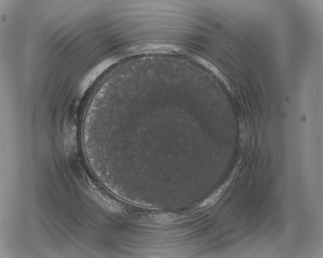 X0000078841066200611271316