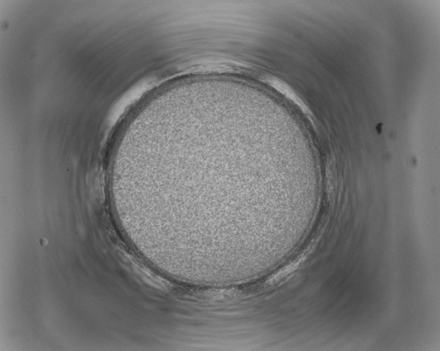 X0000078841067200611271316