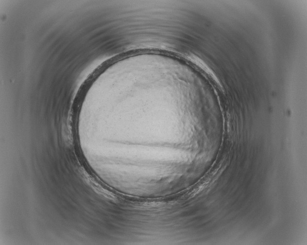 X0000078841068200611271316