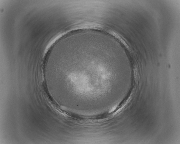 X0000078841069200611271316