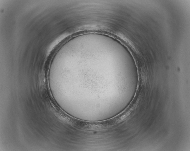 X0000078841070200611271316