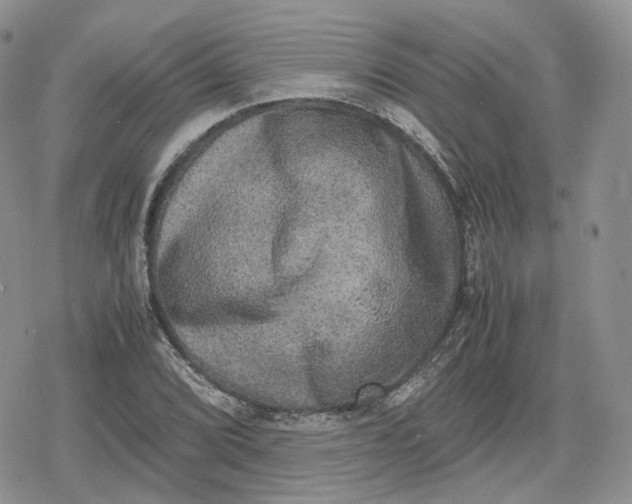 X0000078841072200611271316