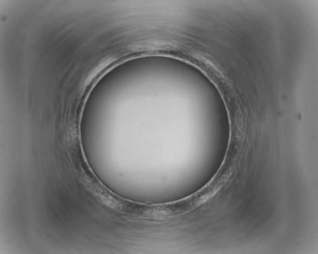 X0000078841073200611271316