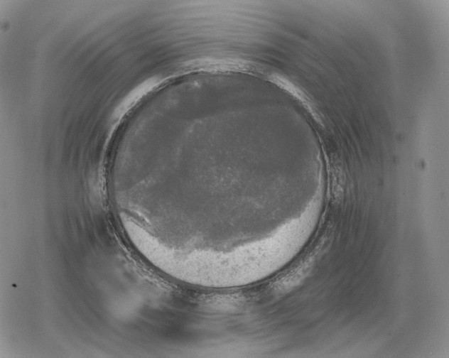 X0000078841074200611271316