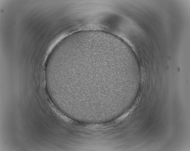 X0000078841075200611271316