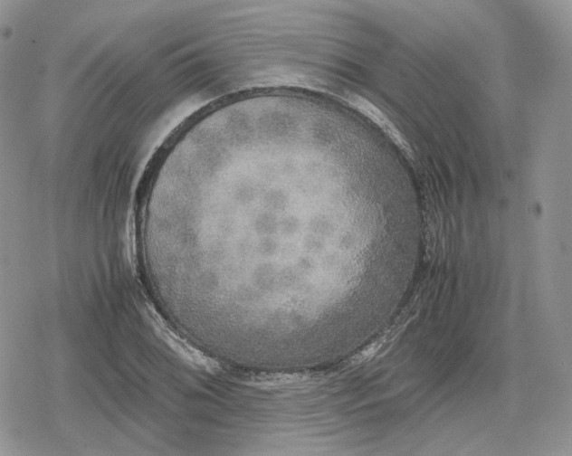 X0000078841076200611271316