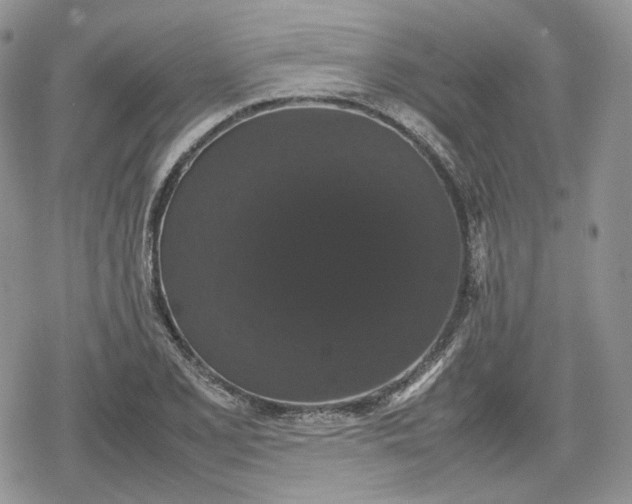 X0000078841077200611271316