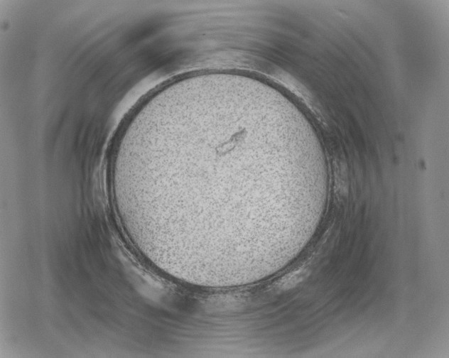 X0000078841078200611271316